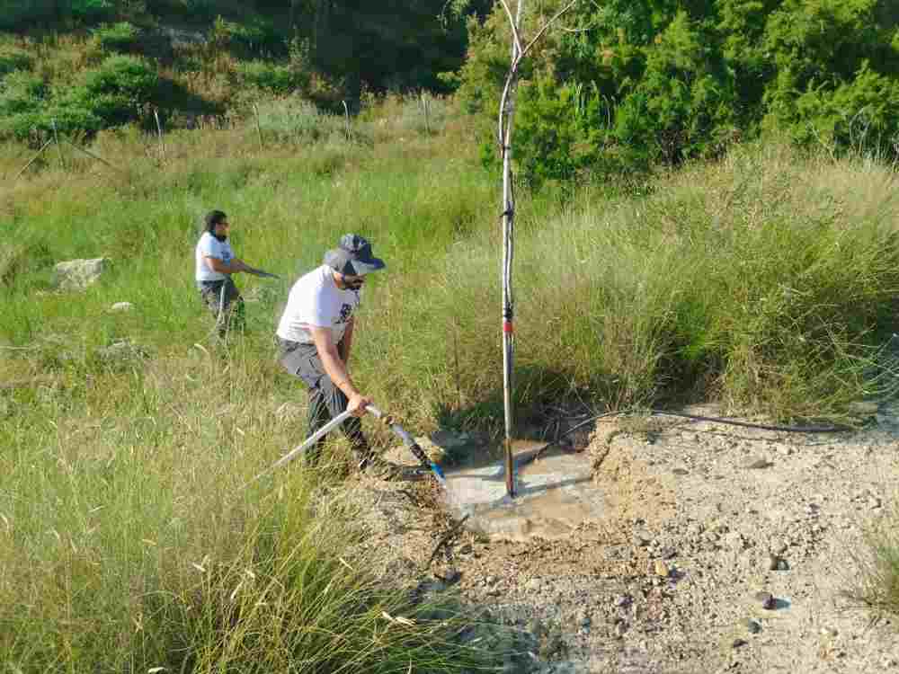 Medio Ambiente-Molina-Proyecto 'ANILLO VERDE'-Fase final trabajos plantación-Foto2(1)