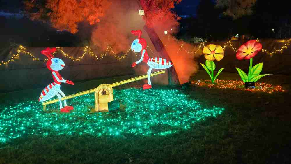 Navidad Molina 2025-Proyecto 'Lucidum-Natura'-Inauguración-Foto2(1)