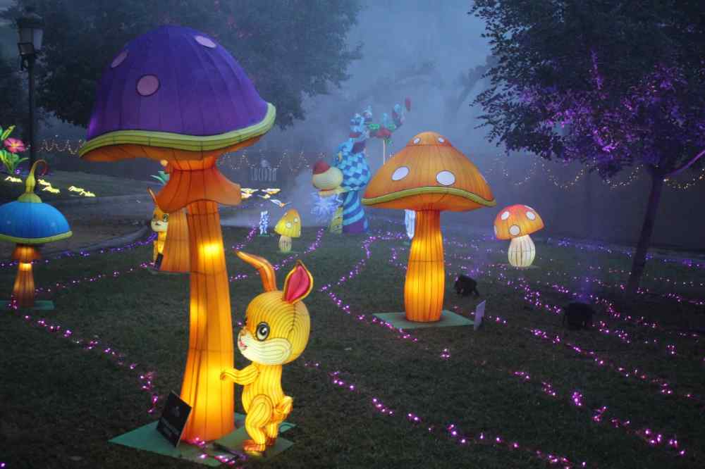 hongos y conejo lucidum