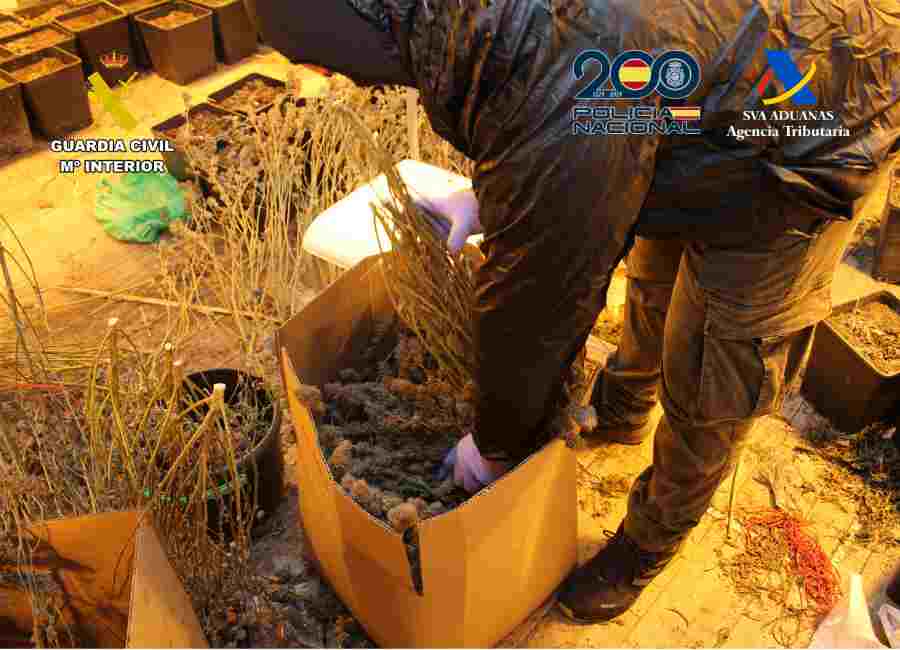 20260220 OP ORDENANZA TRAFICO DROGA MOLINA GC CNP Y AEAT 06(1)