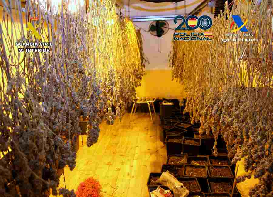 20260220 OP ORDENANZA TRAFICO DROGA MOLINA GC CNP Y AEAT 07(1)