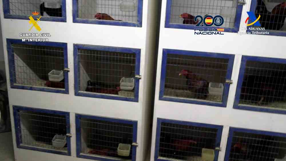 20260220 OP ORDENANZA TRAFICO DROGA MOLINA GC CNP Y AEAT 14(1)