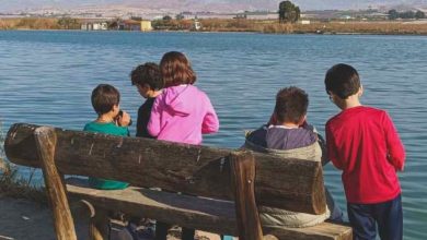 M. Ambiente-Molina-Conmemoración Día Mundial de los Humedales 2026-CARTEL(1)