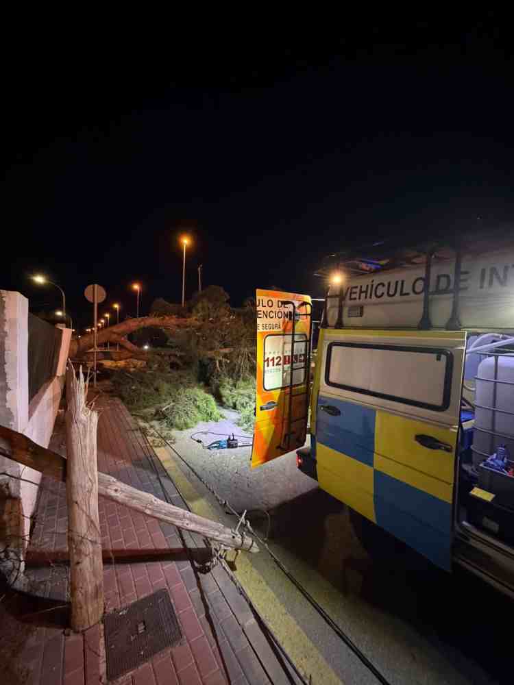 Protección Civil-Molina-Balance incidencias por fuertes vientos-Foto3(1)