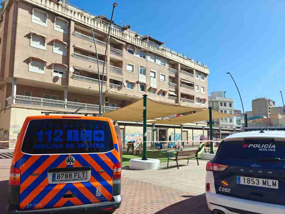 Protección Civil-Molina-Balance incidencias por fuertes vientos-Foto5(1)