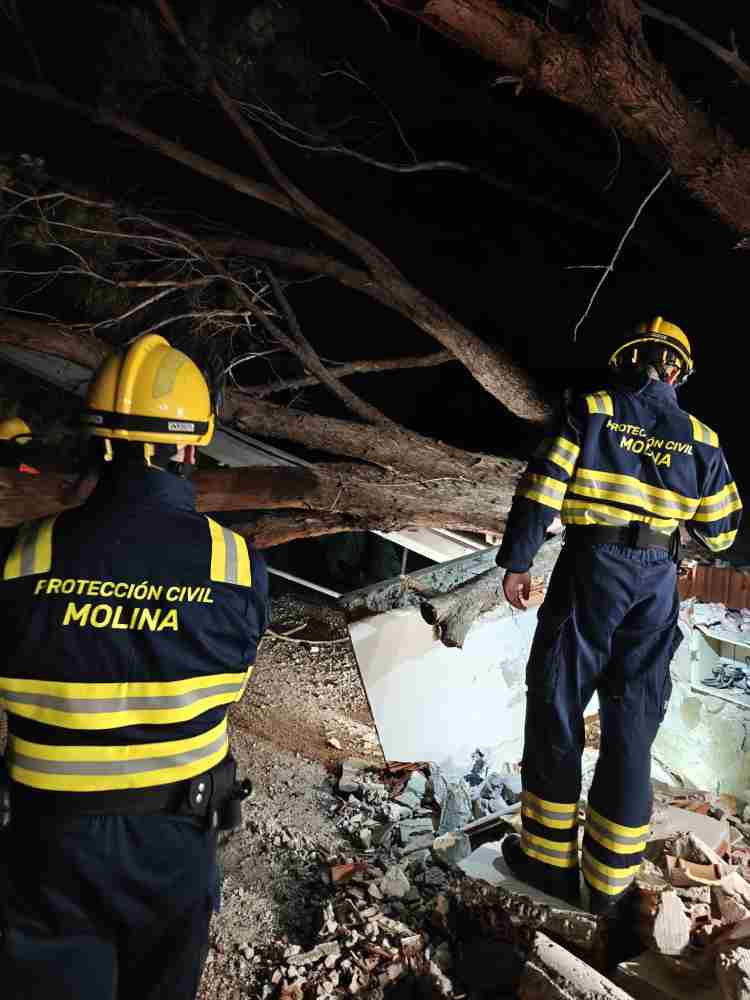 Protección Civil-Molina-Balance incidencias por fuertes vientos-Foto7(1)