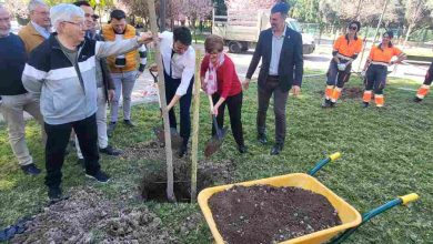 Vía Pública-Molina-Plantación arbolado en Parque de la Compañía-Foto1(1)