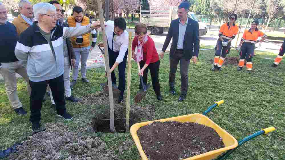 Vía Pública-Molina-Plantación arbolado en Parque de la Compañía-Foto1(1)