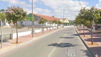 Vía Pública-Molina-Renaturalización en Avenida del Chorrico-RECREACIÓN1(1)