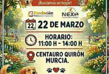 cartel feria de adopciones centauro quiron