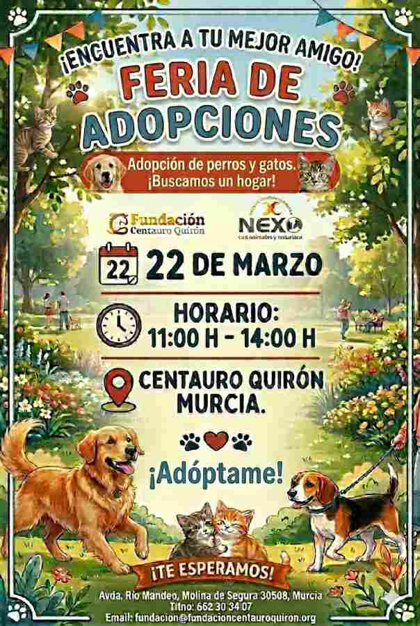 cartel feria de adopciones centauro quiron