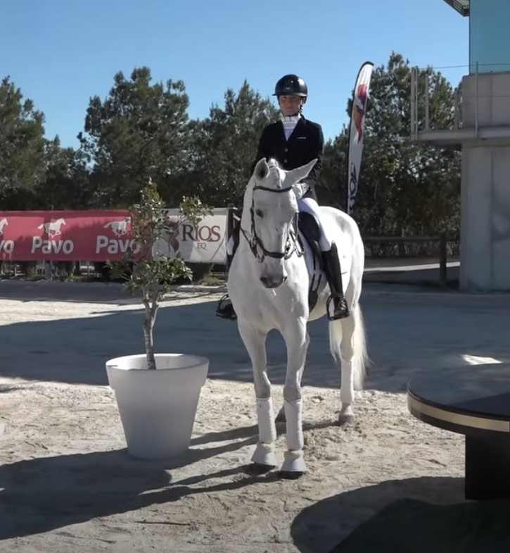 jinete presentando doma 2026-04-01 a las 17.41.45