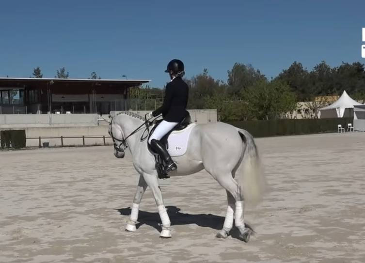 jinete a caballo andando 2026-04-01 a las 17.42.33