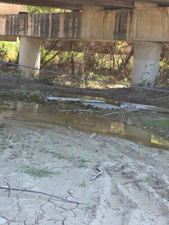 Vertidos puente y agua estancada 3