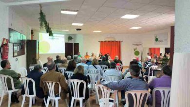 AVV LOS CONEJOS1_REUNION