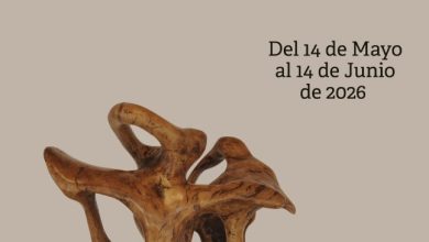 Exposición escultórica 'RAÍCES' de Antonio Clemente-Centro Los Postigos-Molina-Día 14-CARTEL (1)