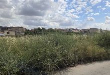 Foto Solares Molina