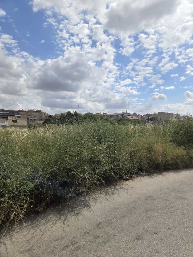 Foto Solares Molina
