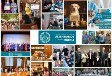 Ilustre-Colegio-Oficial-de-Veterinarios-de-la-Región-de-Murcia-Foto