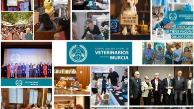 Ilustre-Colegio-Oficial-de-Veterinarios-de-la-Región-de-Murcia-Foto