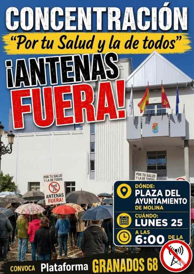 cartel portada manifestación lunes pleno