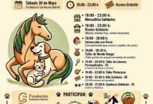 cartesl actividad centauro quiron