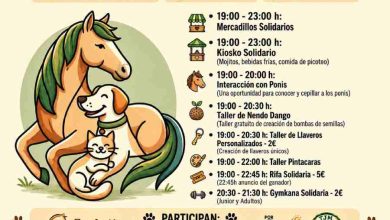 cartesl actividad centauro quiron