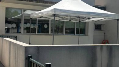 CARPA EI EL LLANO