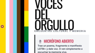 Convocatoria externa orgullo psoe