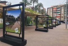 M. Ambiente-Día Mundial Medio Ambiente y 25º aniversario 'Molina, Descubre tu Entorno-Foto3 (1)