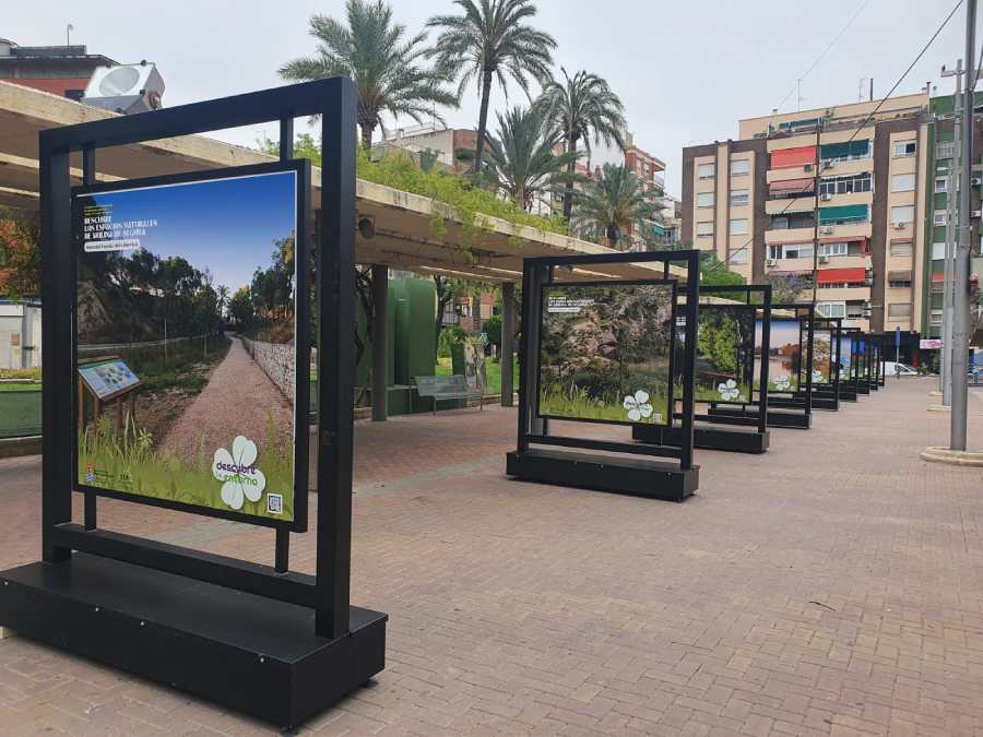 M. Ambiente-Día Mundial Medio Ambiente y 25º aniversario 'Molina, Descubre tu Entorno-Foto3 (1)