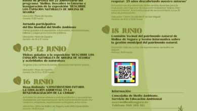 M. Ambiente-Día Mundial Medio Ambiente y 25º aniversario Programa 'Molina, Descubre tu Entorno'-CARTEL (1)