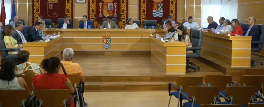 PLENO JUNIO 2026