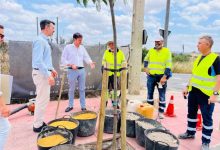 Vía Pública-Molina-Renaturalización casco urbano-Visita a plantación nuevo arbolado en Avenida del Chorrico y Ronda Este-Foto (1)