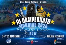 III-CAMPEONATO-DE-PELUQUERIA-CANINA