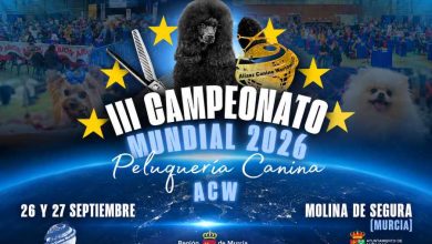 III-CAMPEONATO-DE-PELUQUERIA-CANINA