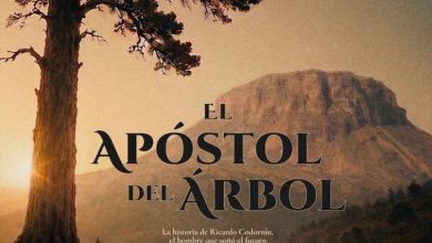 Cartel El Árbol del Ápostol Luis Alberto Narantjo