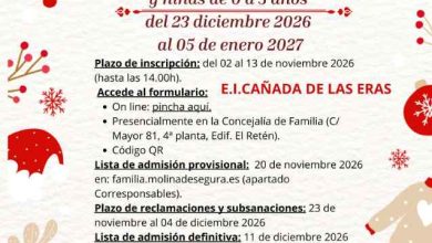 Familia-Molina-Servicio 'Corresponsables Vacacional 0-3 años' Navidad 2026-Apertura plazo inscripción-CARTEL