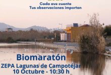 M. Ambiente-Molina-Día Mundial de las Aves Migratorias-Biomaratón en Las Lagunas de Campotéjar-Día 10-CARTEL (1)