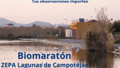M. Ambiente-Molina-Día Mundial de las Aves Migratorias-Biomaratón en Las Lagunas de Campotéjar-Día 10-CARTEL (1)
