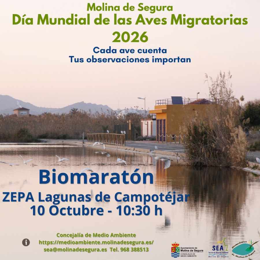M. Ambiente-Molina-Día Mundial de las Aves Migratorias-Biomaratón en Las Lagunas de Campotéjar-Día 10-CARTEL (1)